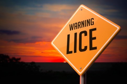 warning of lice